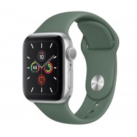 Apple Watch Series 5 (GPS) 44mm Silver Aluminum Case with Sport Band Pine Green