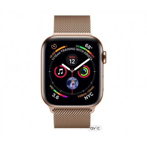 Apple Watch Series 4 (GPS + Cellular) 40mm Gold Stainless Steel Case with Gold Milanese Loop (MTUT2)