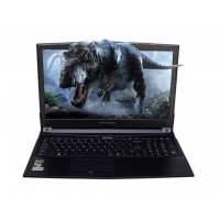 Ноутбук Dream Machines Clevo G1050Ti-15 (G1050TI-15UA29)