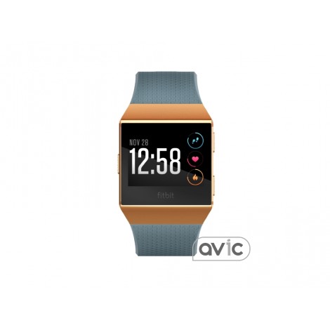Смарт-часы Fitbit Ionic watch Slate Blue/Burnt Orange One Size (FB503CPBU)