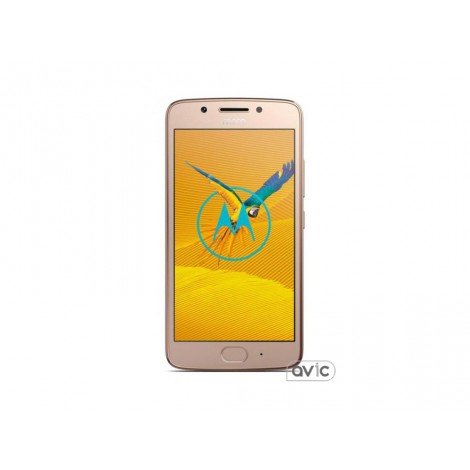 Смартфон Motorola Moto G5 2/16GB Gold (PA610071UA)