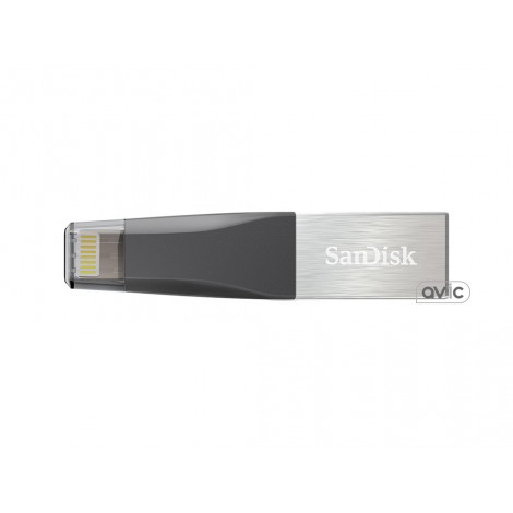 Флешка SanDisk 64 GB iXpand Mini (SDIX40N-064G-GN6NN)