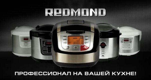 REDMOND RMC-M4510E GRAY