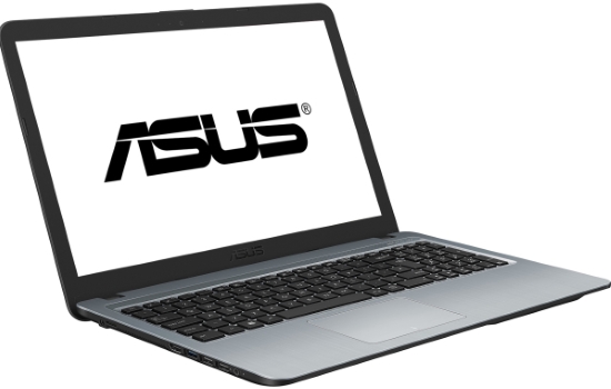 ASUS VivoBook X540UB Silver (X540UB-DM481)