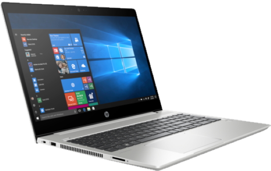 HP ProBook 450 G6 Silver (6HL94EA)