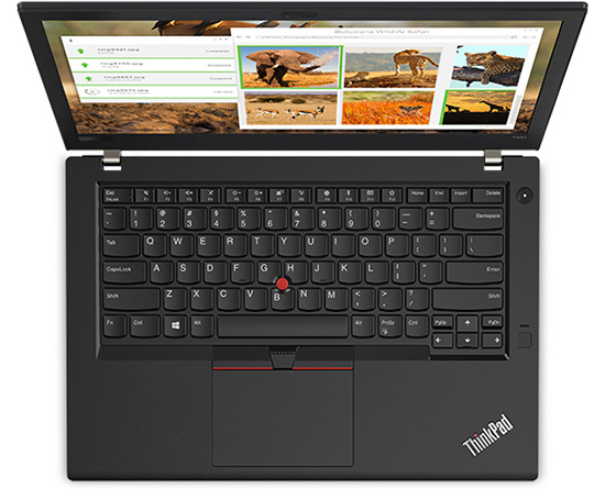 Ноутбук Lenovo ThinkPad T480s (20L70051RT)